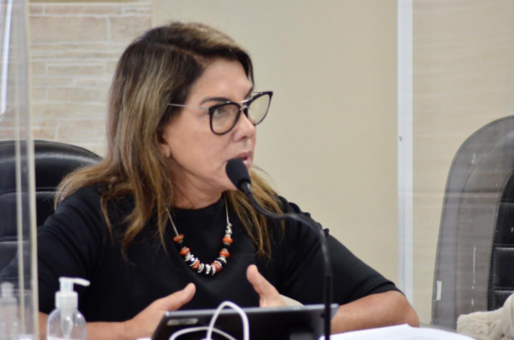 Câmara realiza audiência sobre mobilidade urbana, iniciativa da vereadora Miriam